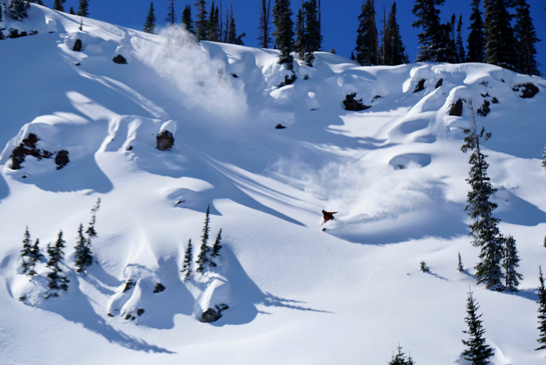 World-class snow conditions: BC Backcountry vs Colorado backcountry.